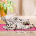 products Cat lce pad Cat cooling pad